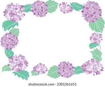 Frame illustration of the purple hydrangea of June