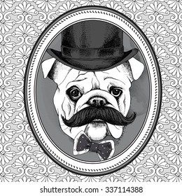 Frame with image of Bulldog with mustaches in bowler hat and tie. Vector illustration.