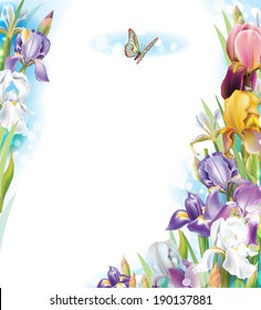 Frame with Iris flowers