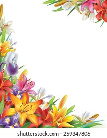 Frame with Iris and lilies flowers