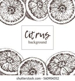 Frame with isolated hand drawn oranges in sketch style. Vector illustration