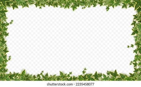 Marco de viñas de hiedra con hojas verdes. Decoración de pared de jardín con lianas colgantes. Plantilla de banner con bordes de plantas de escalada aisladas en fondo transparente, ilustración vectorial realista