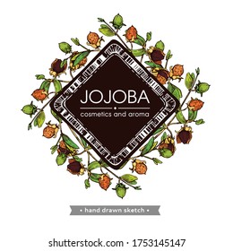 Frame with Jojoba branches with fruits and flowers, leaves. Fruit jojoba in a peel and without . Detailed hand-drawn sketches, vector botanical illustration.  For menu, label, packaging design.