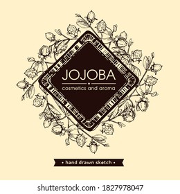 Frame with Jojoba branches with fruits and flowers, leaves. Fruit jojoba in a peel and without . Detailed hand-drawn sketches, vector botanical illustration.  For menu, label, packaging design.