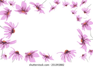 Frame with large and small  Echinacea flowers on white background