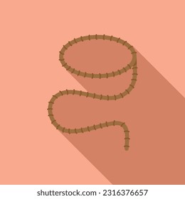 Frame lasso icon flat vector. Rope knot. Rodeo string
