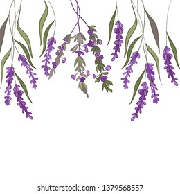 Frame with lavender