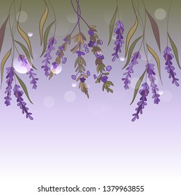 Frame with lavender