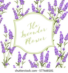 Frame of lavender flowers on a white background. Label of soap package. Label with lavender flowers. Vector illustration.