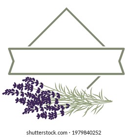  frame with lavender flowers, vector