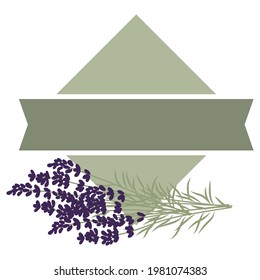  frame with lavender flowers, vector