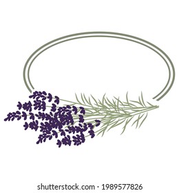  marco con flores de lavanda, vector