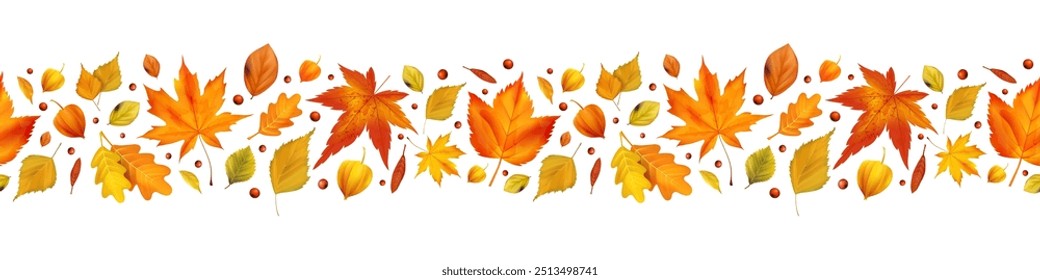 Otoño de hoja de marco. Arce de fondo. Anuncio de diseño de follaje de textura. Hojas de naranja sin costura del bosque. Borde gráfico de Acción de Gracias. Herbario orgánico botánico. Vector realista ilustración aislada