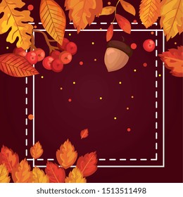 frame with leafs and nut of autumn