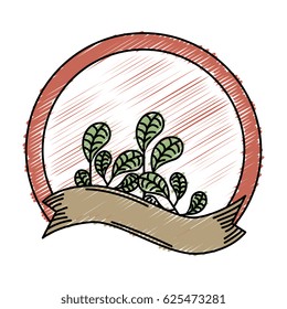frame with leafs plant decorative icon