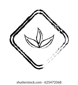 frame with leafs plant decorative icon