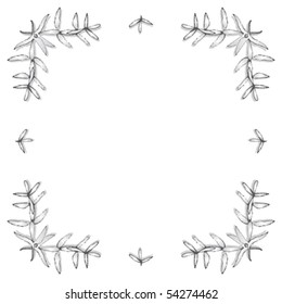 frame leaves