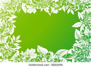 Frame of leaves