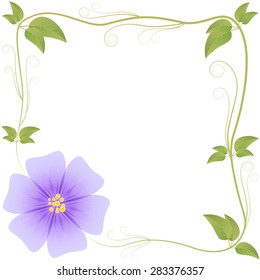 frame from leaves and flowers variant 4