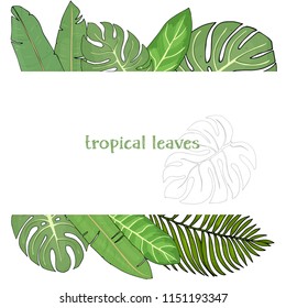 Frame with leaves of tropical plants on a white background. Colorful vector illustration in sketch style. Mock up.