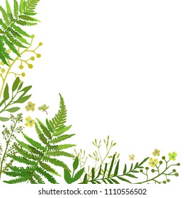 Frame with leaves. Vector floral set with hand drawn green foliage and flowers. Design for summer invitation and greeting cards.