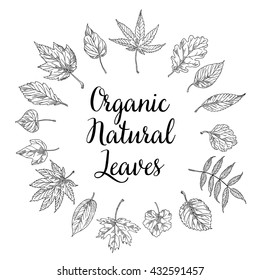 frame leaves,  Vector illustration. seamless vector grunge autumn leaves