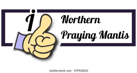 Frame " I Like Northern Praying Mantis " Thumb Up! Vector graphic logo eps10.