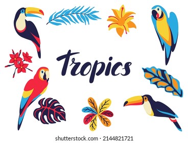 Frame with macaw parrot, toucan and tropical plants. Exotic decorative birds, flower anf leaves.