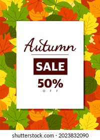 A frame made of autumn leaves. The leaves are oak, birch, aspen, maple. Autumn theme. Space for copying. Applicable for printing, posters, postcards, websites. Vector illustration.