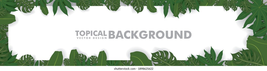 Frame made of fresh green tropical leaves on white background. Space for design or text. vector illustration design
