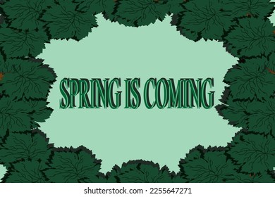 Frame made of green grape leaves with inscription spring is coming. Nature background with copy space.