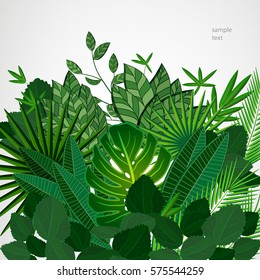 Frame made of leaves on a white background. Jungle tropical floral vector border.