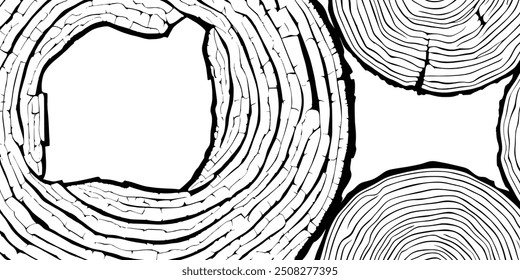 Marco hecho de tronco cortado, Anuncio de Vector, patrón de anillos de árbol, tonos de gris