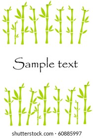 Frame made of lucky bamboo plants. Vector with copy space