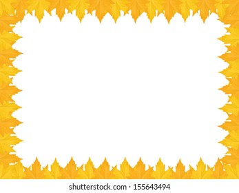 frame made of maple leaves over white