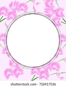 Frame made from Phalaenopsis orchids