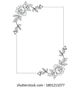 The frame is made of plant elements for wedding invitations. A composition of roses in a vector, isolated from the background.