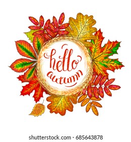 A frame made from wheat ears and autumn leaves are oak, birch, mountain ash, maple and chestnut. Handwritten inscription - Hello Autumn. Hand drawn lettering