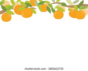 A frame of mandarin oranges