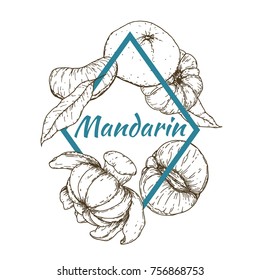 Frame with mandarins in retro vintage hand drawn, sketches, engraved style. Design elements for banner, cover, label, package, promote. Isolated on white background. Modern vector illustration.