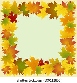 frame of maple leaves