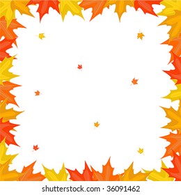 Frame from maple leaves