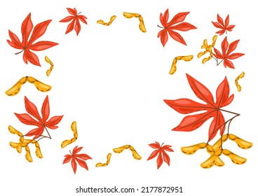 Frame from maple leaves with seeds. Image of autumn plant.
