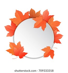 Frame with maple leaves. Template for a voucher, banner, discounts for Teacher, Thanksgiving Day, Oktoberfest.