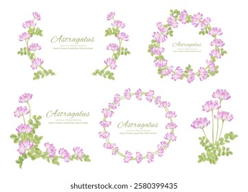 Frame material set of astragalus painted in watercolor