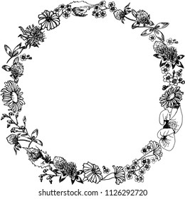 frame with meadow flowers  , hand-drawn vector illustration
