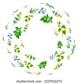 Frame with meadow flowers. Herbs and cereal grass. Beautiful decorative spring plants.