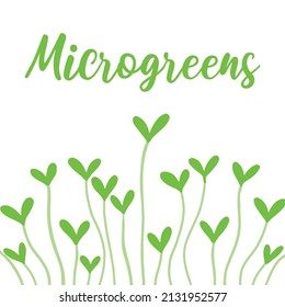 Frame with microgreens.Frame made of microgreens. vector illustration in hand drawn style.