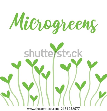 Frame with microgreens.Frame made of microgreens. vector illustration in hand drawn style.