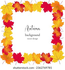 A frame of multicolored autumn maple leaves on a transparent layer. For text, postcards, greetings, invitations, advertising.